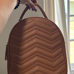 Brown Backpack