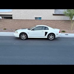 2000 Ford Mustang