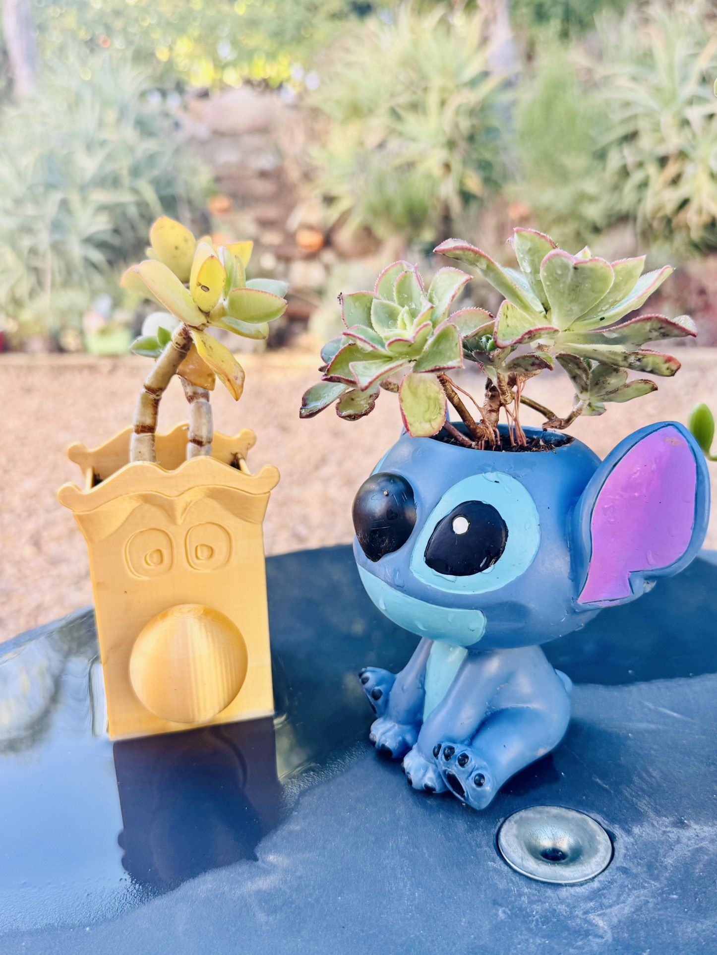 🩵 💙 Rare Find: 😍 Disney Stitch Planter With Succulent Plant 🪴 