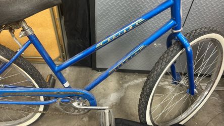 Schwinn cruiser