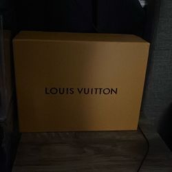 Louis Vuitton Shoe Box
