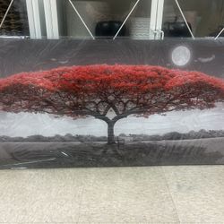 Canvas Frame 40 X 20” 