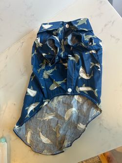 Shark dog shirt and training pads