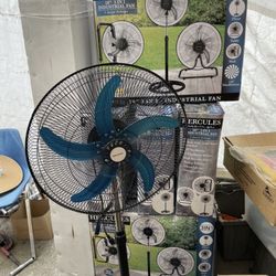 Fan