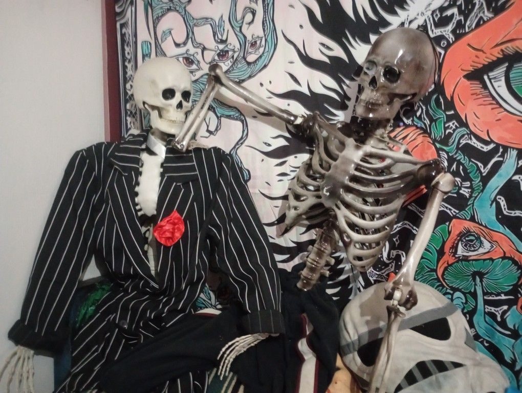 Two Life. Size Skeletons