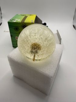 Dandelion Paperweight – Real Dandelion in Crystal Glass Ball, Symbolic Gift