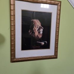 Lion Framed Print 