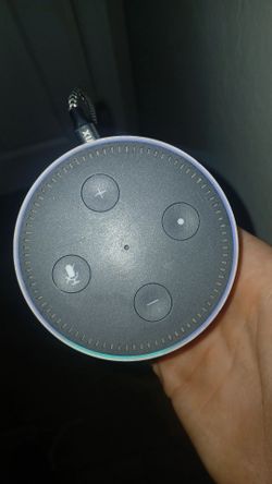 Amp and alexa