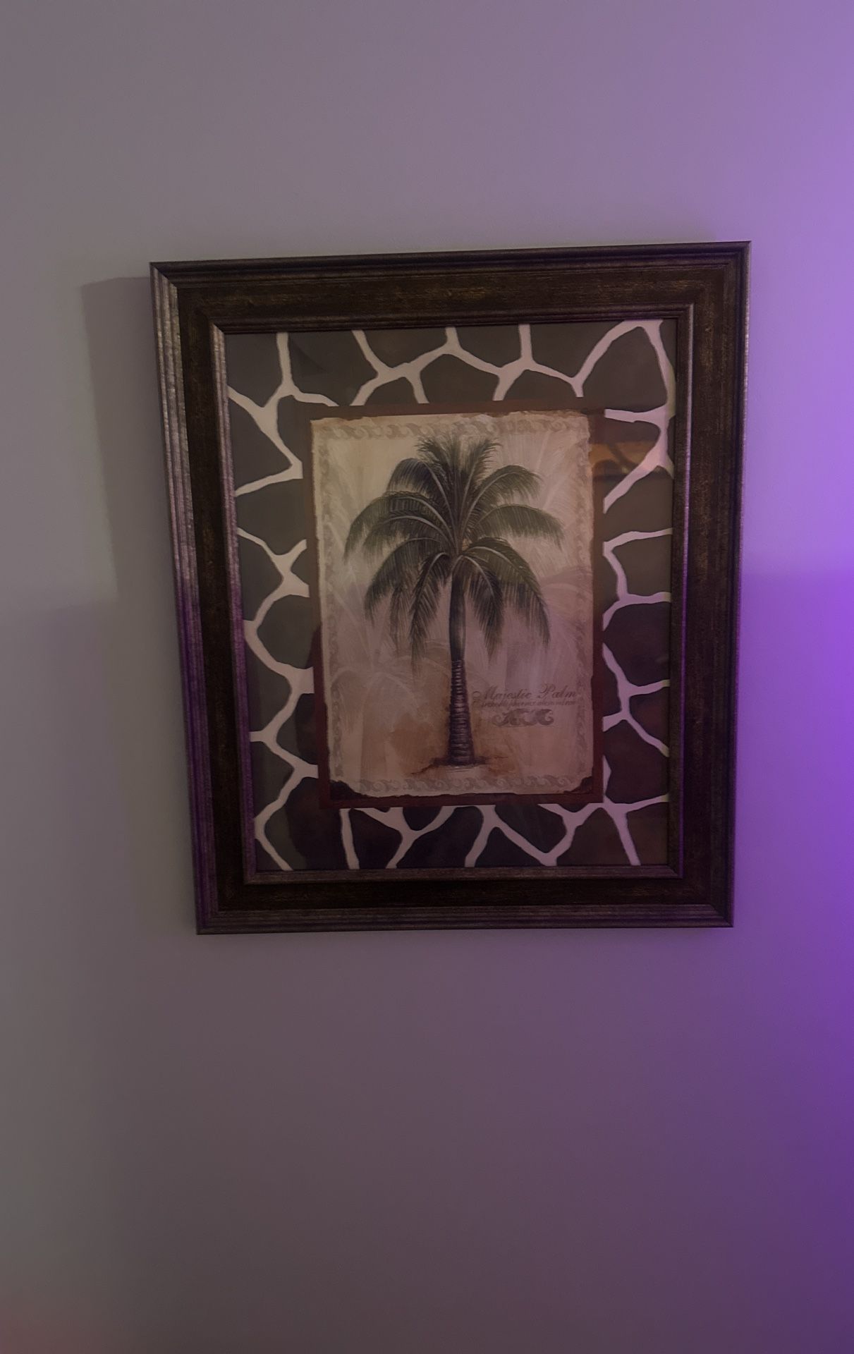 Framed Photo Of Palm Tree