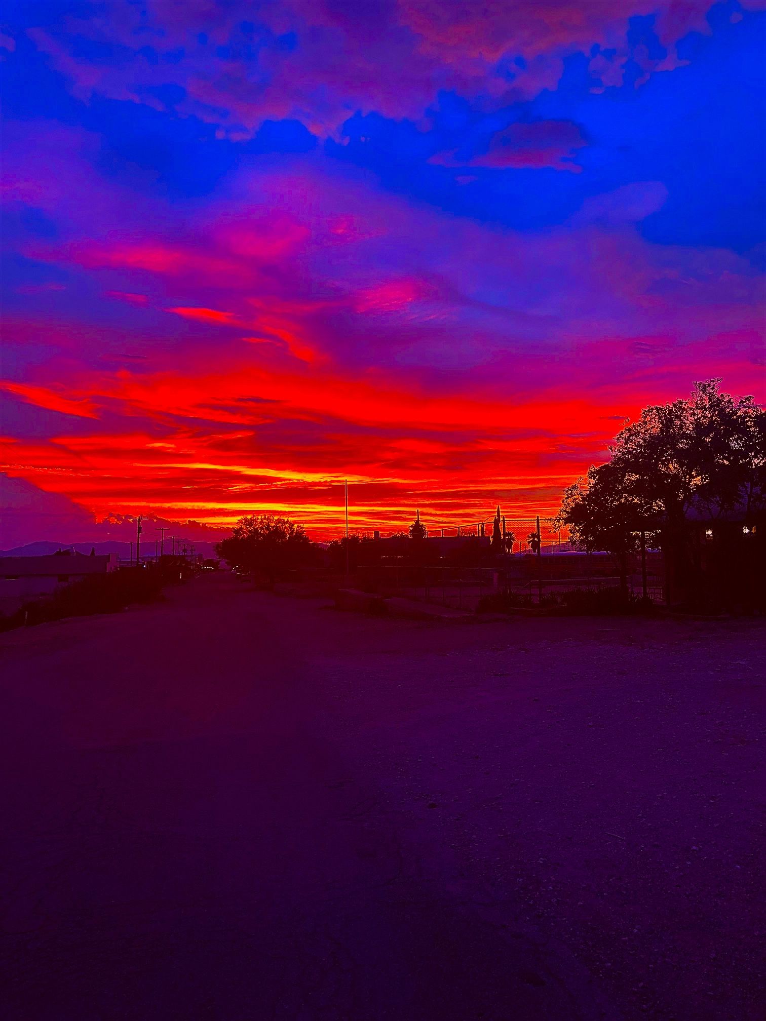 Canvas Photos Custom Sizing