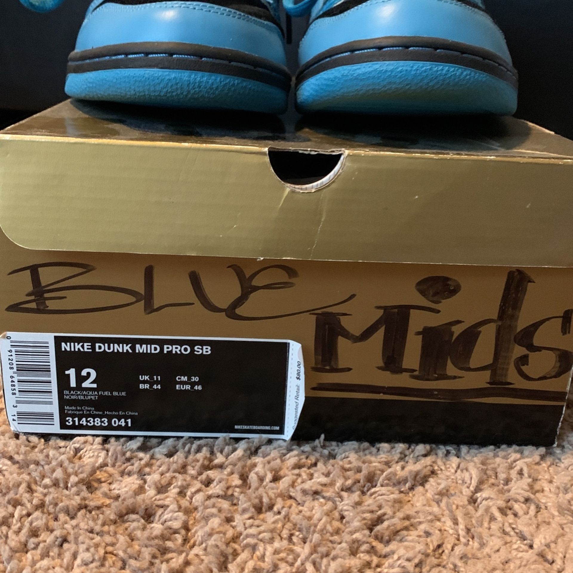 Nike SB Dunks Size 12