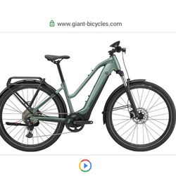 Giant Explorer E  Mountain Bike