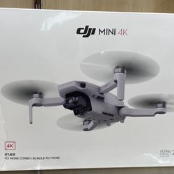 Dji Mini 4K Flymore Combo
