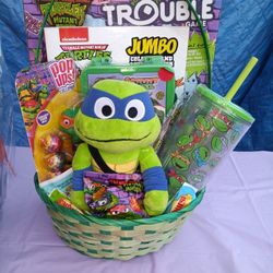 Ninja Turtle Basket 