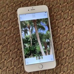 iPhone 6 Plus With Charger And Phone Case 
