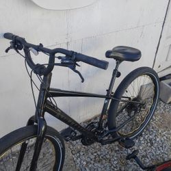Specialized Roll Elite