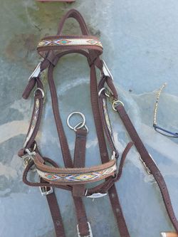 Halter Bridle Combo