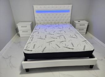 Bed 🛏️
