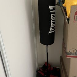 Everlast Gym Punching Bag 