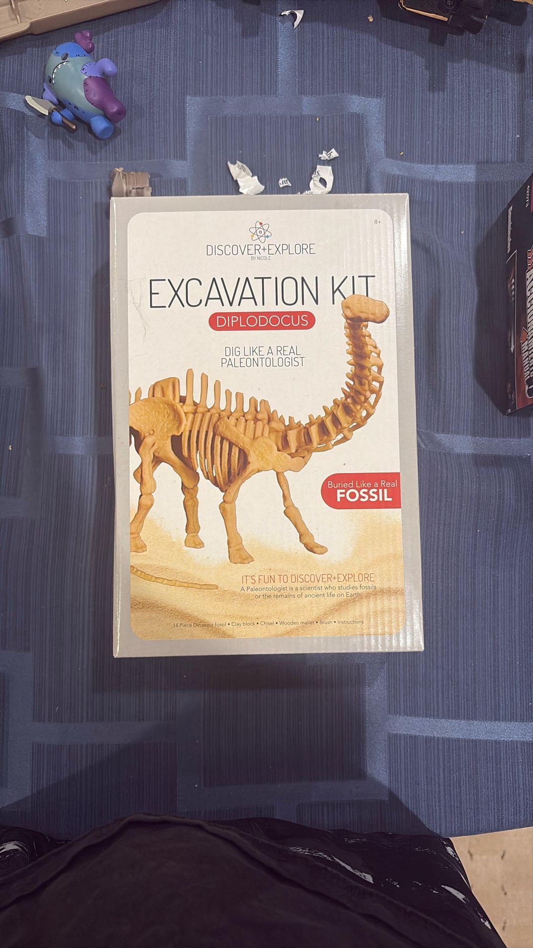 Dinosaur excavation and build skeleton kit