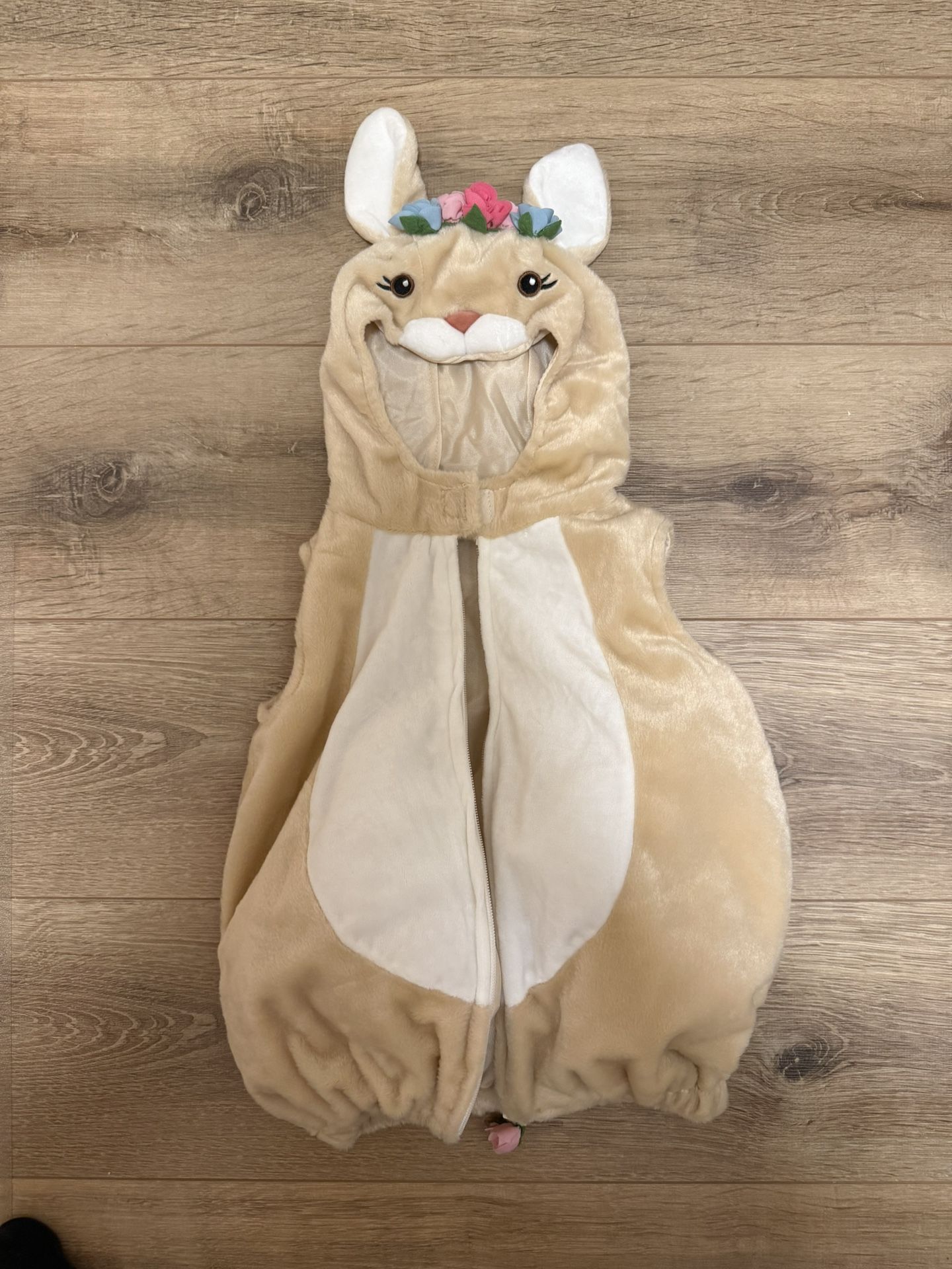Bunny Costume 
