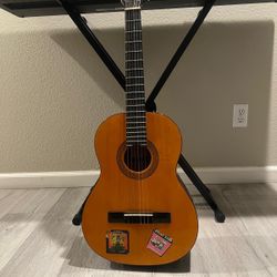 Acoustic Guitar