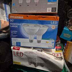 Light Bulbs ( Flood 90 Watt )