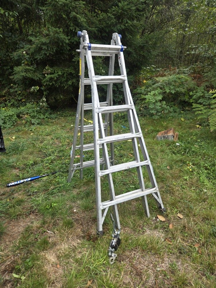 Ladder
