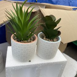 Artificial Plants 2 