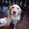 Vin
