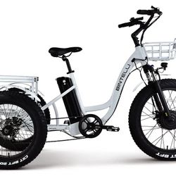 Electric Trike