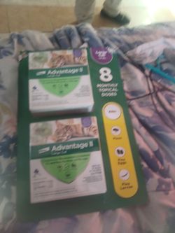 Kills fleas for cats