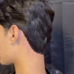 Barbero, modesto Corte a 20