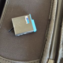 GoPro Battery + Case