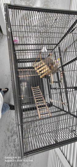 Large Rolling Metal Bird Cage / Parrot Cage w/ Stand & Accessories