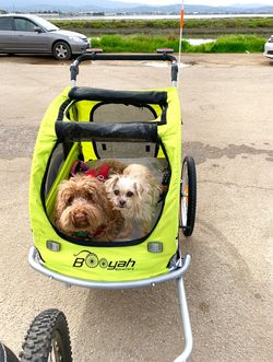 Booyah Large Dog Stroller and Bike trailer for Sale in San Ramon CA OfferUp