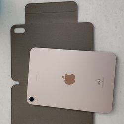 6th Gen Ipad Mini - Rose