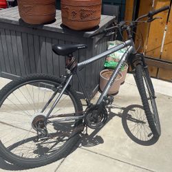 Roadmaster - Quarryridge- 18 Speed.   28 Inch 