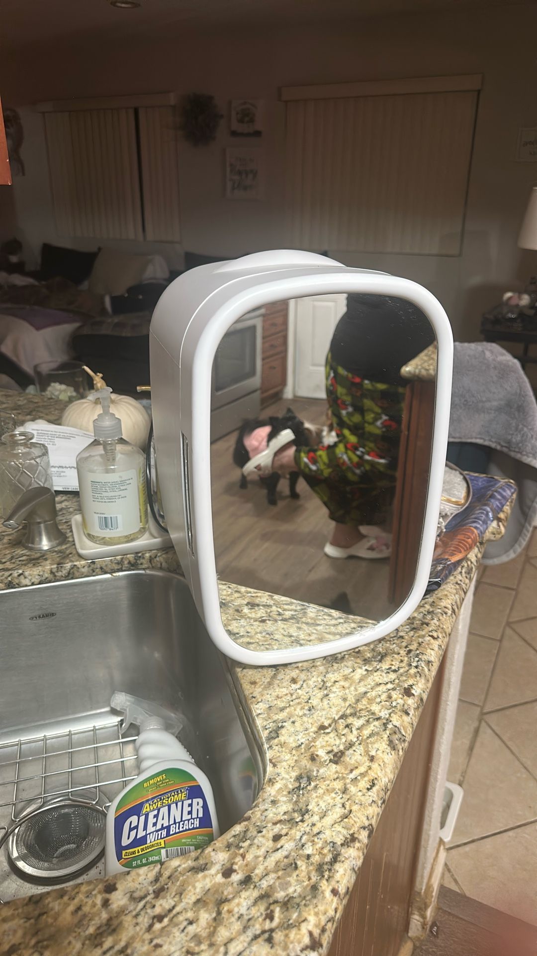 Mini Refrigerator For Skin Care