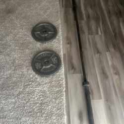 Barbell And 35lb Metal Plates