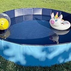 Dog Pool Kiddie Pool NEW