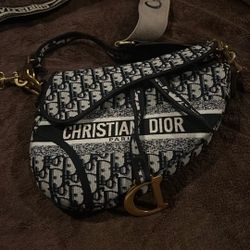 Cristian dior bag