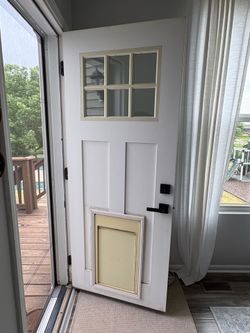 Door slab with invisible fence doggie door