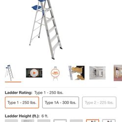 Werner Ladder 