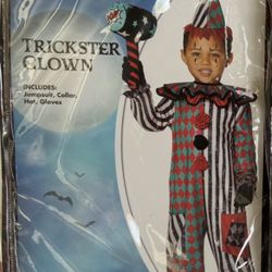 🎃Toddler Halloween Costume  3T-4T 👻