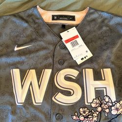 Washington Nationals Cherry Blossom City Connect Jersey By Mike