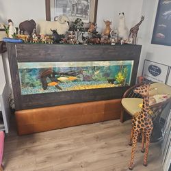 Aquarium 130 Gal