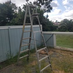 Free Ladder 