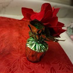 Plastic Rose 