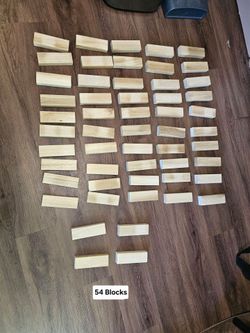 44 Wooden Blocks in Zippered Case - $20